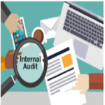 Internal Audit & Survey